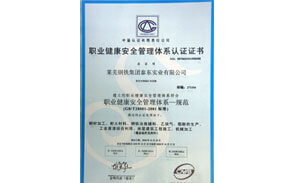 職業健康安全管理體系證書 職業健康安全管理體系證書